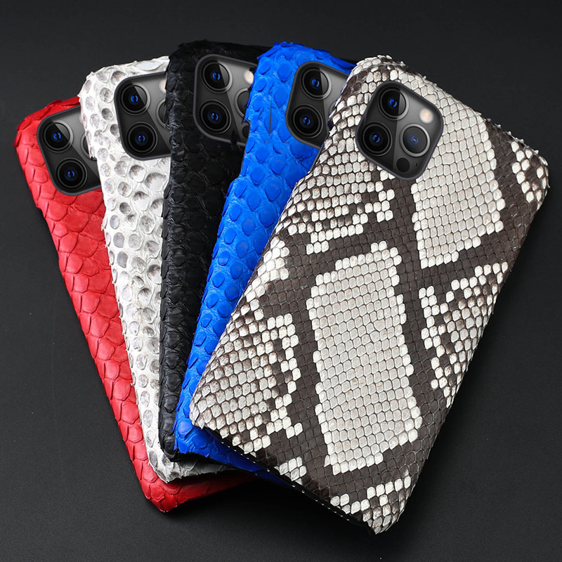 Snakeskin iPhone Case